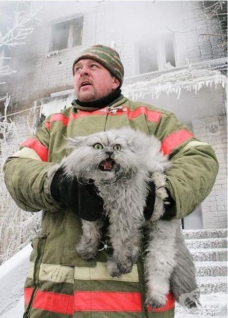 Но се появява тази снимка