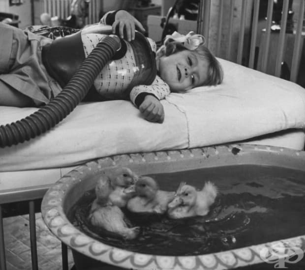 Използване на патенца като терапевтични животни, 1956 г.