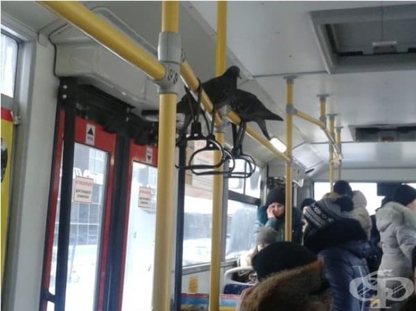 Е, навън вече е много студено.