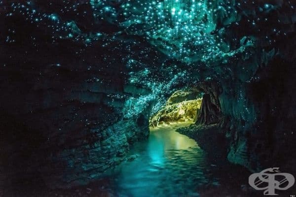 Светещата пещера Уайтомо, Нова Зенландия.