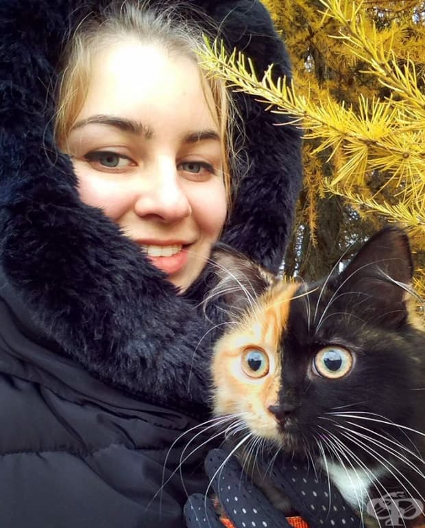 Запознайте се с Яна, котето с две лицa