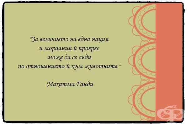 За величието и морала на една нация
