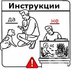 Запознаване на бебето с домашните любимци