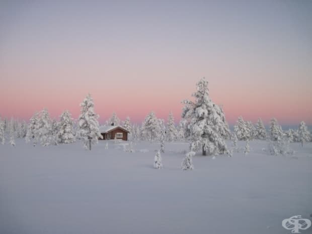 Северна дъждовна гора, Норвегия