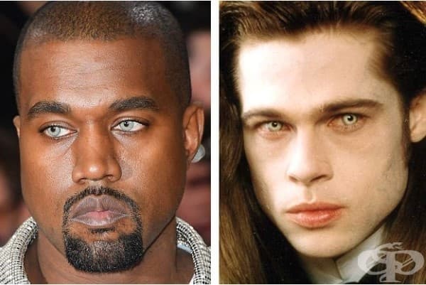 15 случайни неща, на които знаменитостите приличаха на Met Gala
