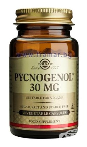 СОЛГАР ПИКНОГЕНОЛ капсули 30 мг * 30 (SOLGAR PYCNOGENOL vegetable ...