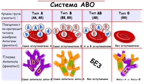 Кривой рог порно на складе