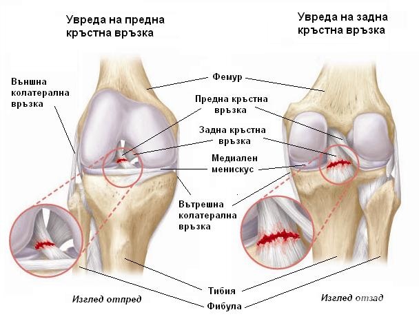 а кто видел тонкий и длинный КРИВОЙ член?