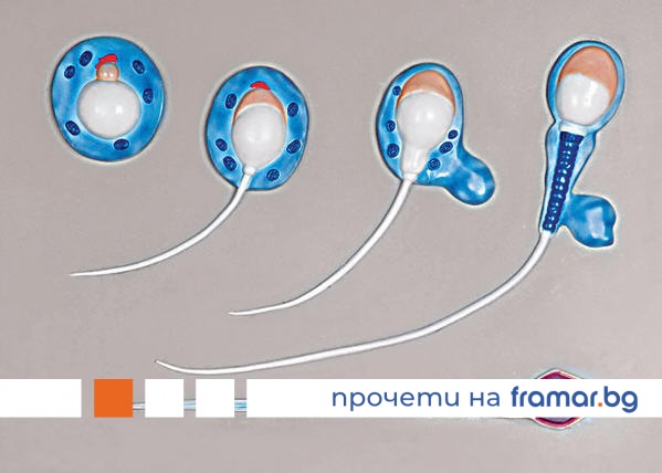 Етік киген шлюха