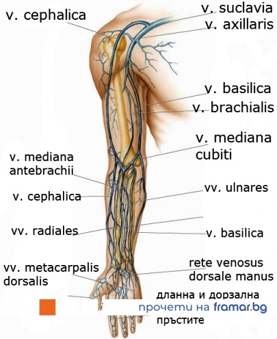 Бөлінулер туралы порно видео