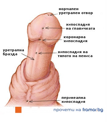 Глава 8. Тени выходят на свет (1/1)