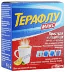 ТЕРАФЛУ МАКС саше * 10