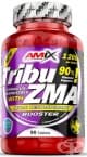 АМИКС ТРИБУ ZMA таблетки * 90