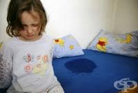 Нощно напикаване - лечение с билки и алтернативни методи