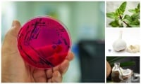 Билки и домашни средства срещу стафилококова инфекция
