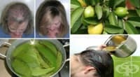 Билки срещу косопад