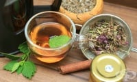 Билкови рецепти при диария, запек и хемороиди