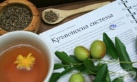 Билкови рецепти и билки при заболявания на кръвоносните съдове