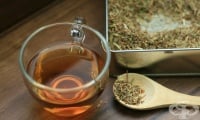 Билкови рецепти при анемия и кръвотечения