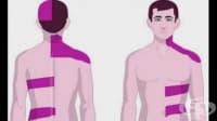 Естествени средства и методи за превенция и лечение на херпес по тялото
