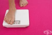 ���� ������ �� 5% �� ��������� ���� ��������� ��������