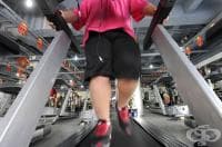 ������������ ���� �� ����������� ���������� � ��-����� �������