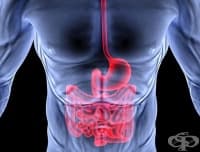 �������� �������� ������� ��� ��������� ������