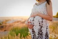 ������� ������ ������� �� ���������������� �������