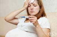 ���� �� ����� �� ���������� ���� �� � ������� �� �������� �� ������ � ������