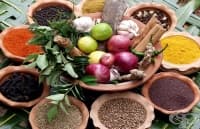 ������ ��������� ��������