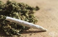 ����������� ���� ����� �� ��������� �� ������ ���������