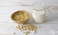 Консумирането на соеви продукти от бебета води до тежък менструален цикъл в по-късни години