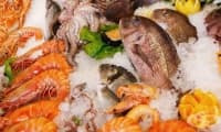Консумацията на морски дарове през бременността увеличава капацитета на вниманието на децата