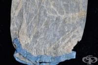 200-������� ������ �� ���� ����� �� �������� �� ���� (������)