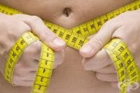 5 ���� �� ��������������, � ����� ������������ �� �������