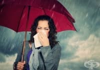 ��� �� �� �������� ������������ � ������������ ������ �����?