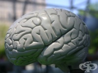 ������������� ������� �������� �� ���������