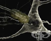 ������� �� �� ��������� �� ���� �������