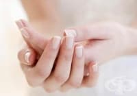 ���� �� �������� ����������� � ��� �� �� ���������?