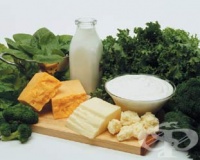 ����������� ���� �� ������