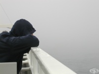 �������� � ����� ����� ��������