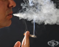 ����� �� ���-�������� ���� ����� � ��������