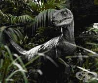 ������������ ��������� �� ��������� ���� �� ��������� �� ���������