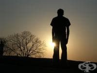 ����������� ����� ������ �� ��������