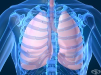 ������� �������� �� �������������