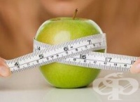 ���������������� ����� �� ������� �� �������