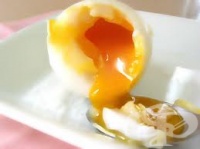 ���� ���� �� ��� ���� �� ������ ��������