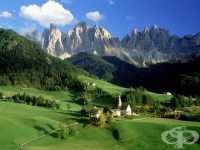 ��������� ����� ������ �������� � ��������� ���������