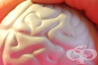 ������� �� ������� ���� ��������� ����� 40 � 60 ������