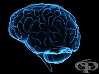 ��������� ������� ��������  ���������� ����������